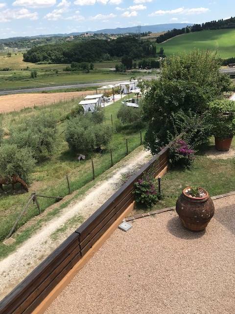 Terreno a Collesalvetti - Foto 5