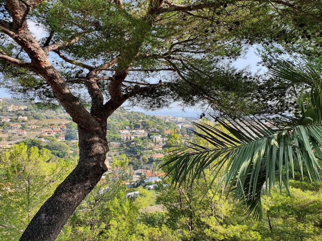 Villa a Bordighera in Via Bellavista - Foto 2