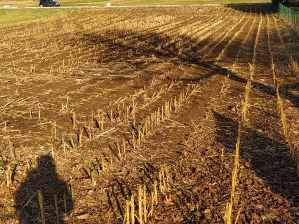 Terreno a Vedano olona in Via Venegono - Foto 2