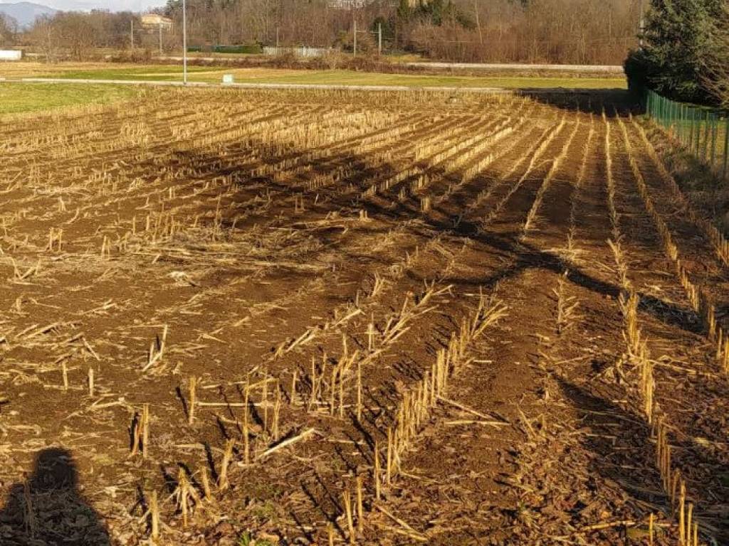 Terreno a Vedano olona in Via Venegono - Foto 3