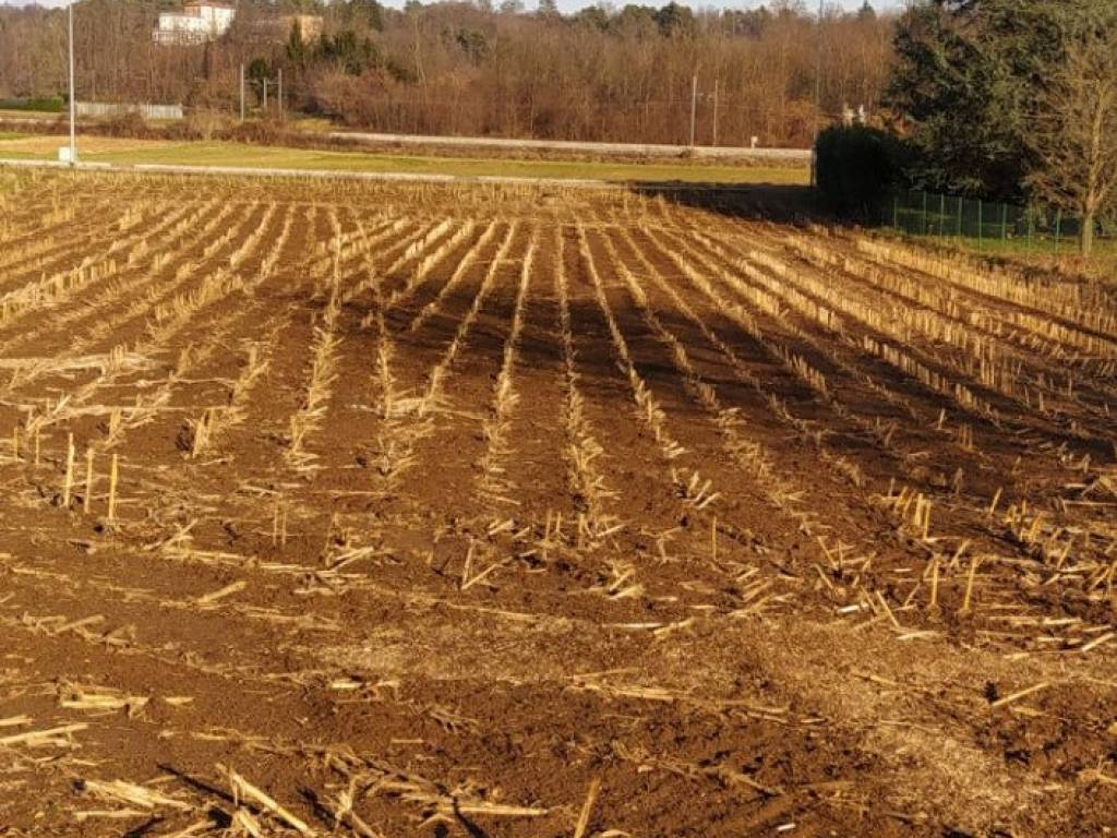 Terreno a Vedano olona in Via Venegono - Foto 4