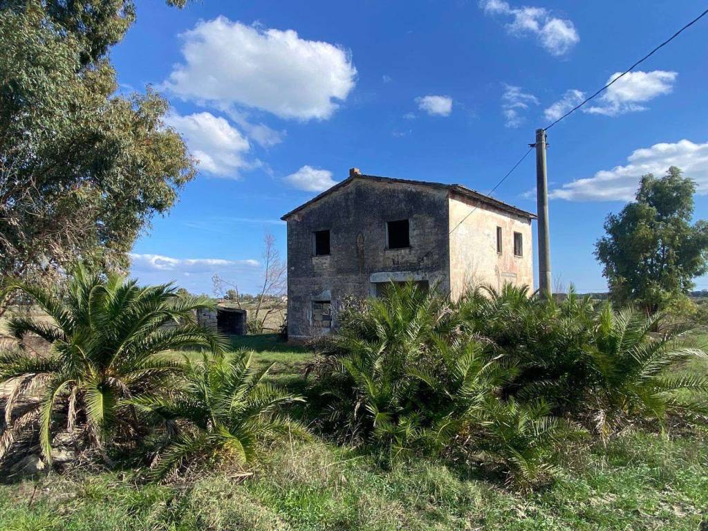 Immobile a Pisticci in Contrada Scannaturchi - Foto 3