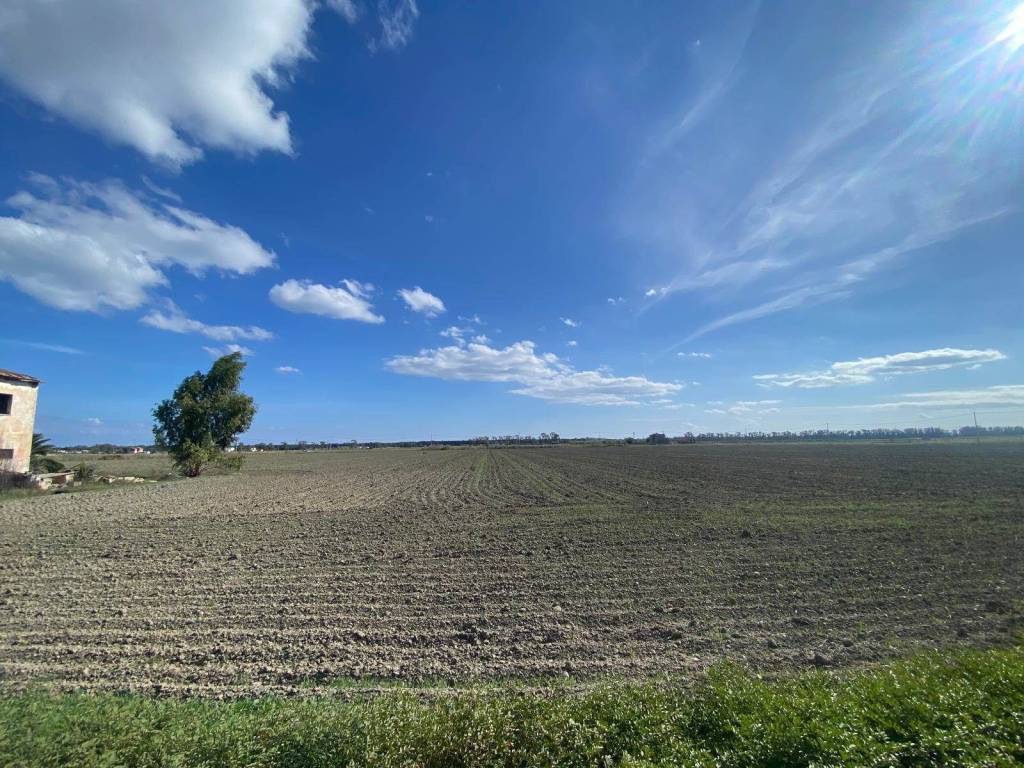 Immobile a Pisticci - Foto 5