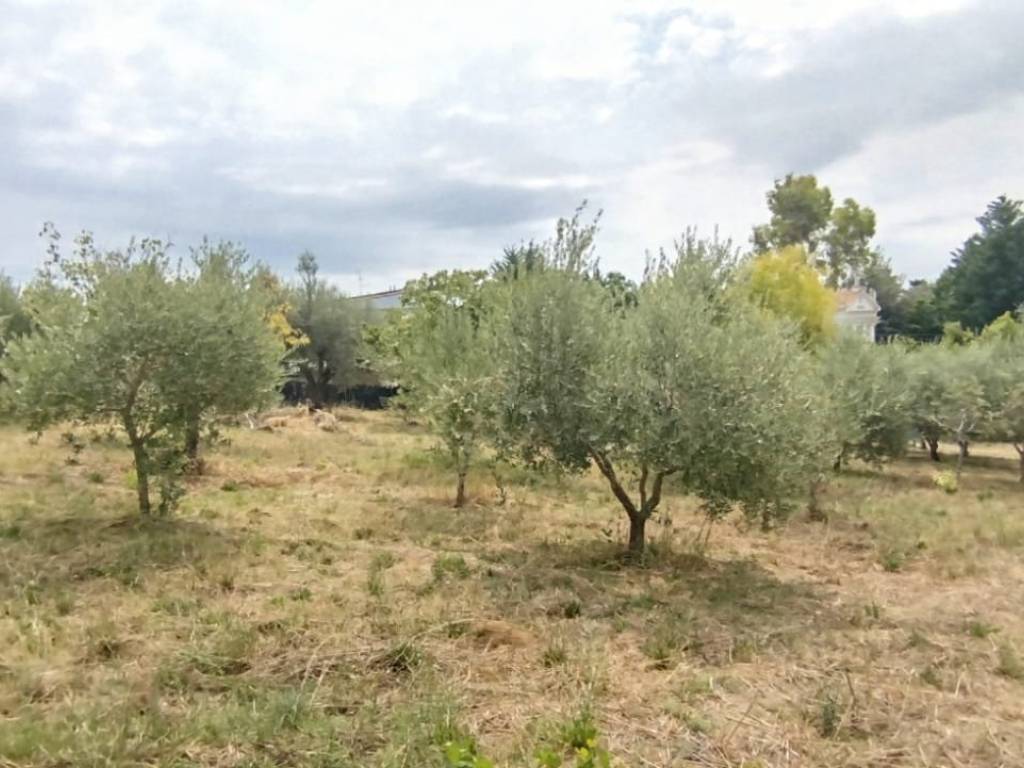 Terreno a Civitanova marche in Via del Molino - Foto 5