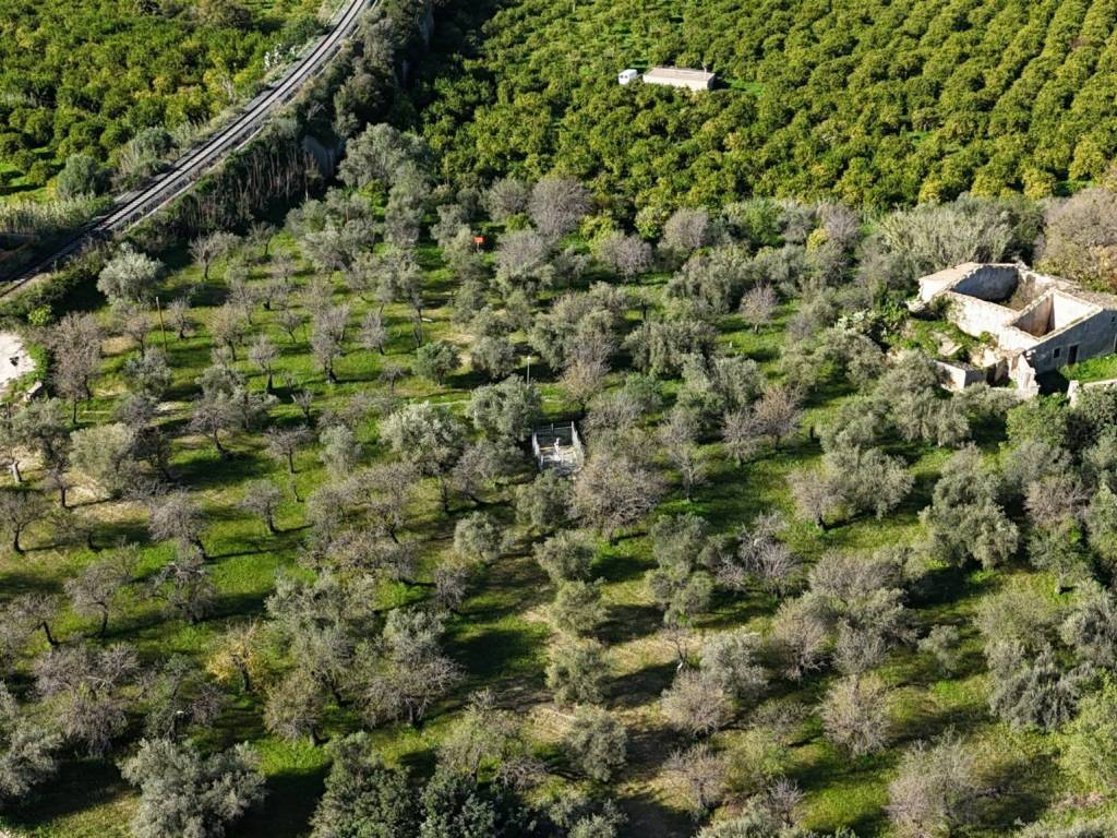 Rustico / casale a Noto in Strada Statale Sud Occidentale Sicula - Foto 2