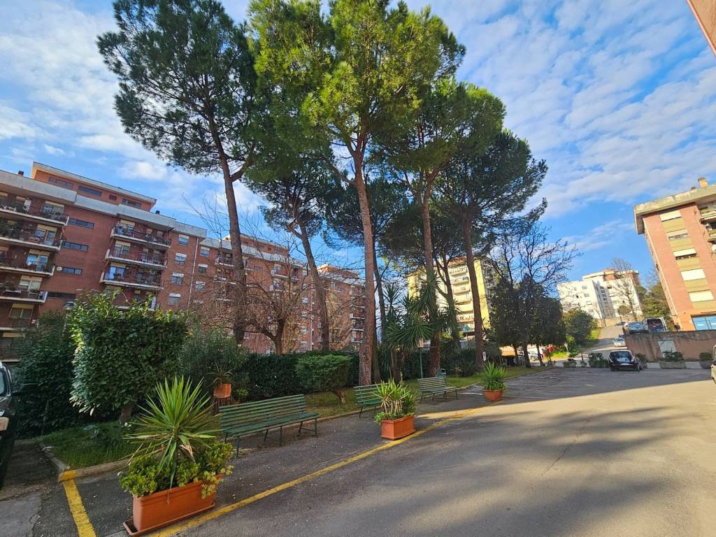 Appartamento a Frosinone in Viale Madrid, 12 - Foto 2