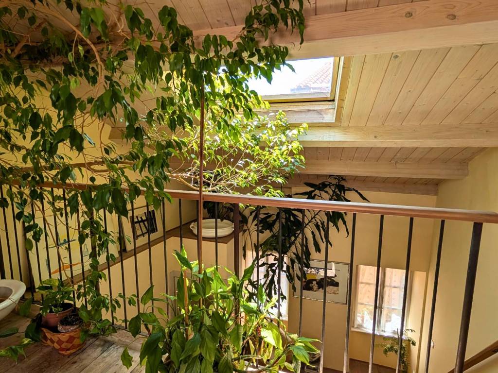 Appartamento a Muggia - Foto 5