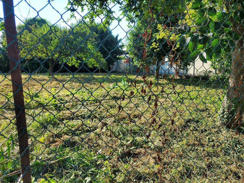Terreno a Vigodarzere in Via San Martino - Foto 5