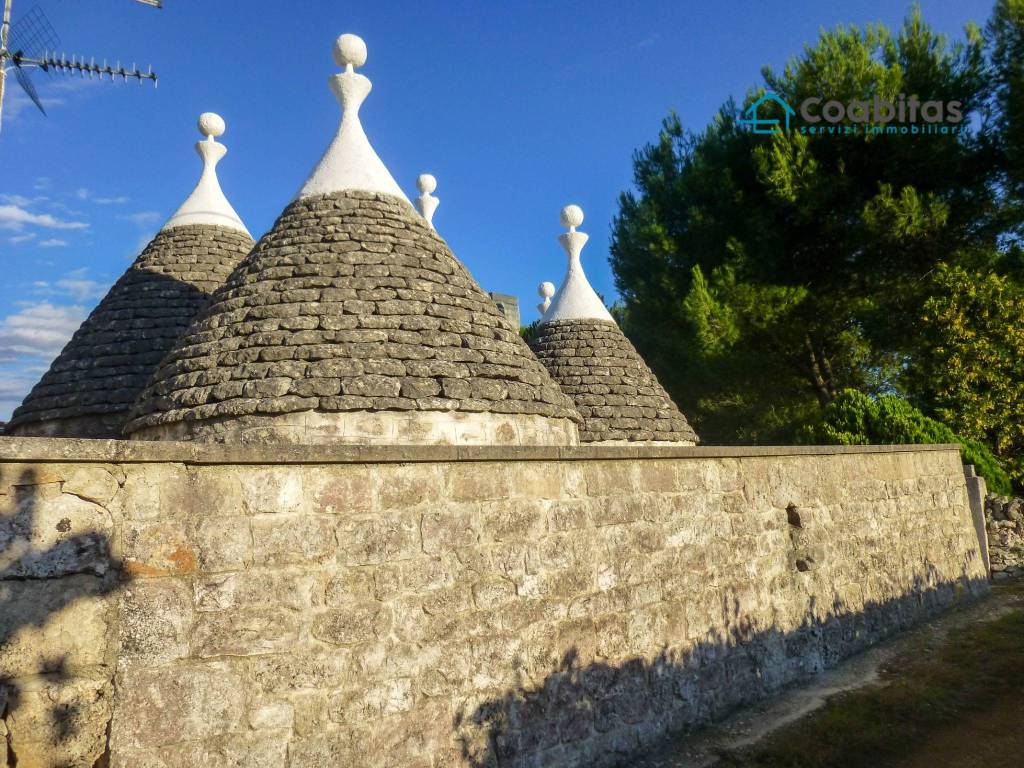 Rustico / casale a Martina franca in Contrada Gianfelice, 54 - Foto 3