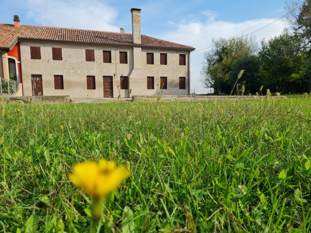 Rustico / casale a Conselve in Via Padova, 116 - Foto 3