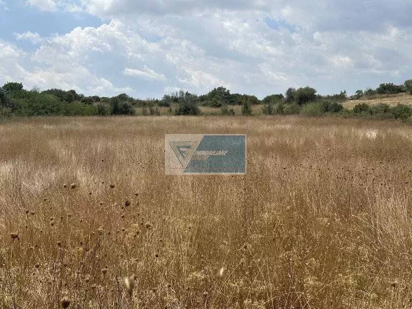Terreno a Noto in Tenuta San Marco - Foto 3