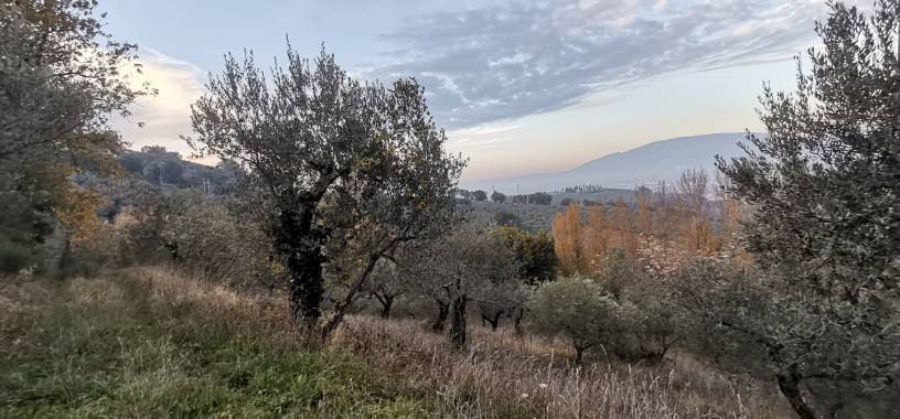 Rustico / casale a Montefalco - Foto 2