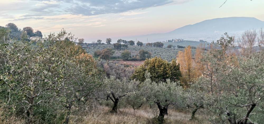 Rustico / casale a Montefalco - Foto 3