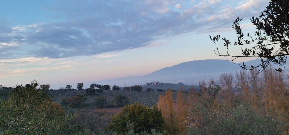 Rustico / casale a Montefalco - Foto 4