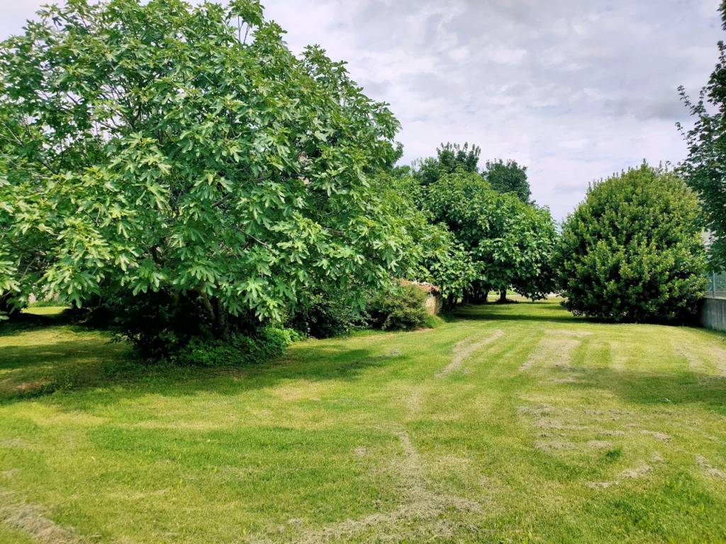 Rustico / casale a Rovolon in via San Francesco - Foto 2