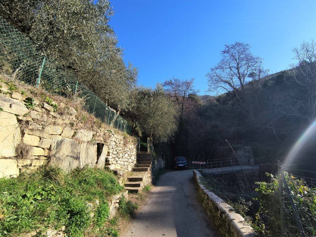 Terreno a Calci in 56011 Montemagno PI, Italia - Foto 3