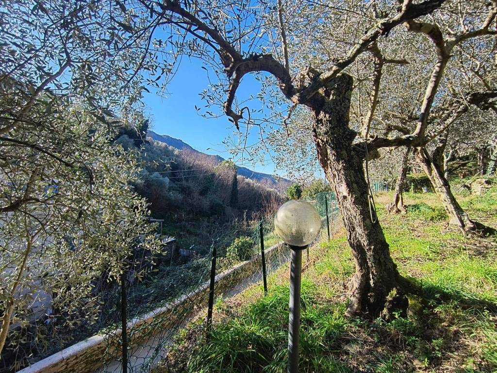 Terreno a Calci in 56011 Montemagno PI, Italia - Foto 5