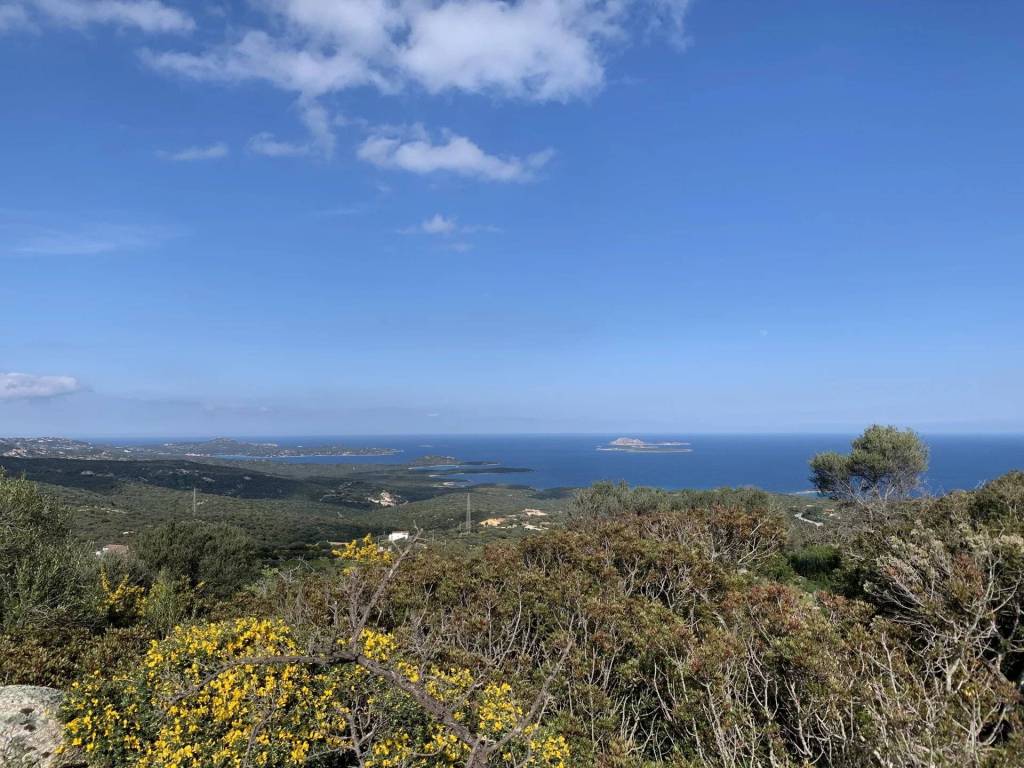 Terreno a Olbia in Milmeggiu - Foto 2