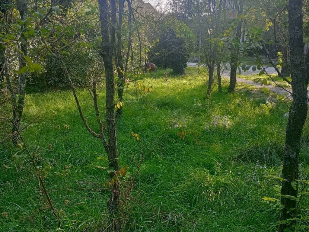 Terreno a Duino-aurisina - Foto 2