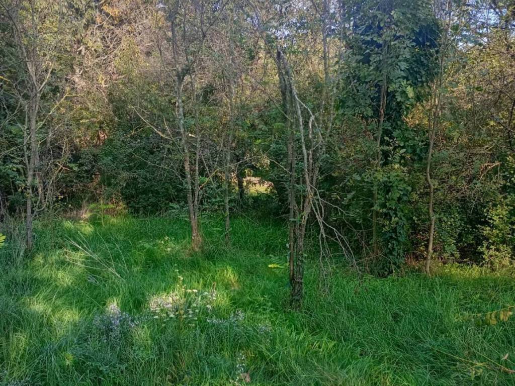 Terreno a Duino-aurisina - Foto 3