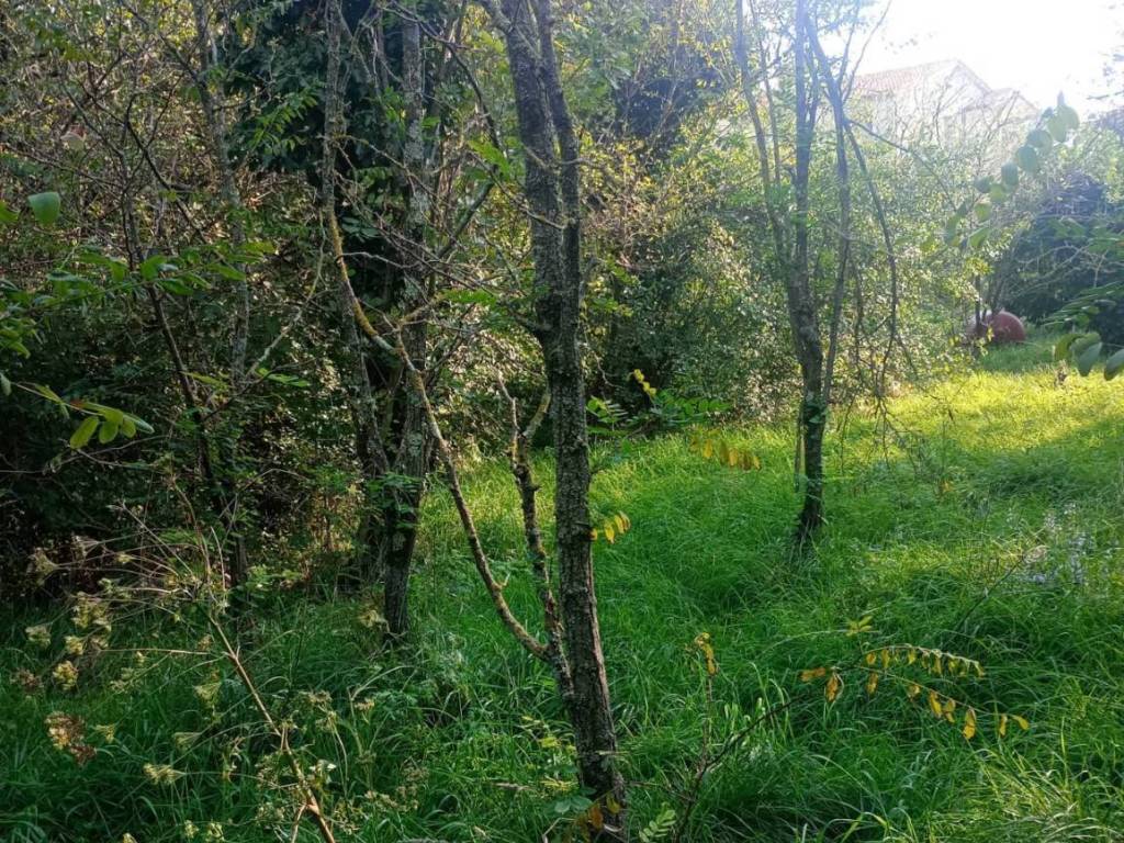 Terreno a Duino-aurisina - Foto 4