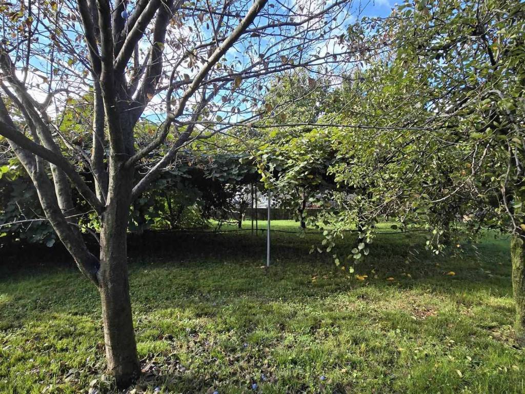 Villetta a schiera a Occhieppo superiore in Via Erio - Foto 5