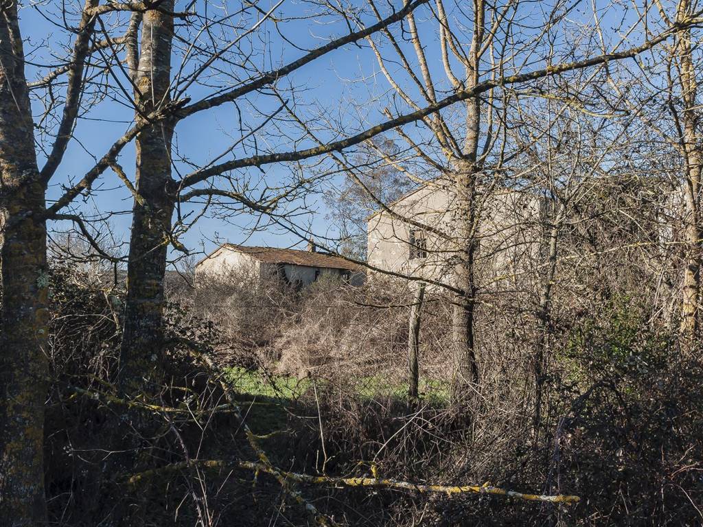 Rustico / casale a Suvereto in Via Pilade Caporali, 42 - Foto 2