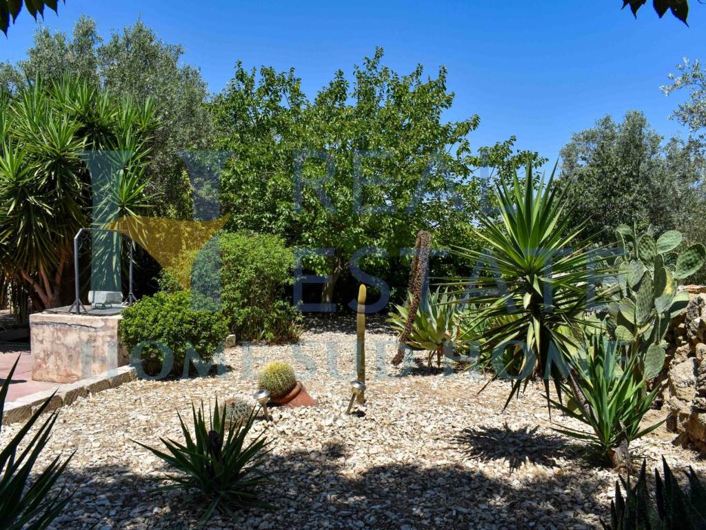 Rustico / casale a Noto in Via Tommaso Fazello, 228 - Foto 5