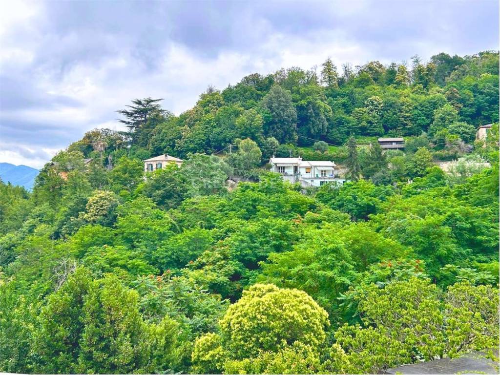 Appartamento a Camogli in SS1, 275 - Foto 2