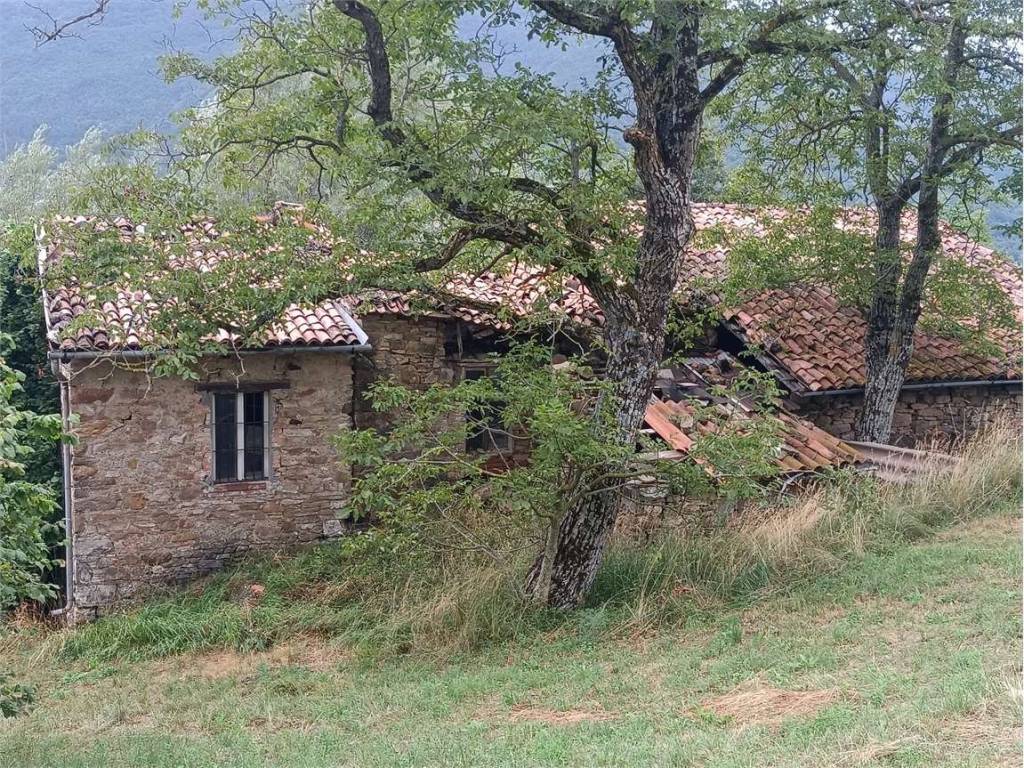 Rustico / casale a Santa margherita di staffora in località Costamora - Foto 3