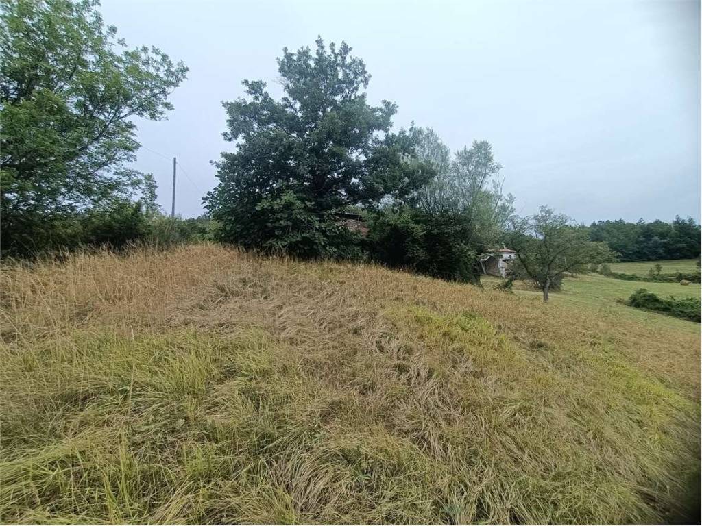 Rustico / casale a Santa margherita di staffora in località Costamora - Foto 4