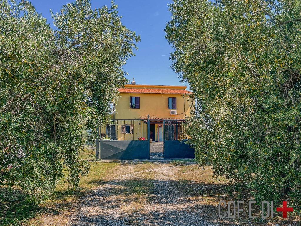 Rustico / casale a Montalto di castro in Via del Poggio - Foto 5