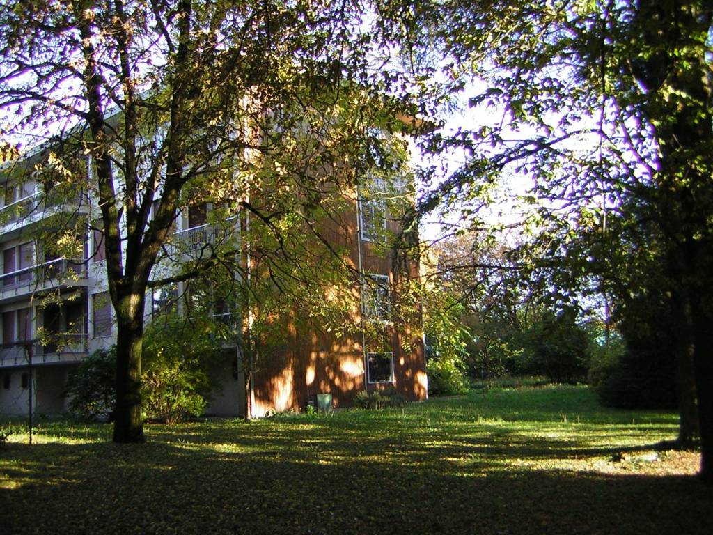 Palazzo / stabile a Noventa padovana - Foto 4