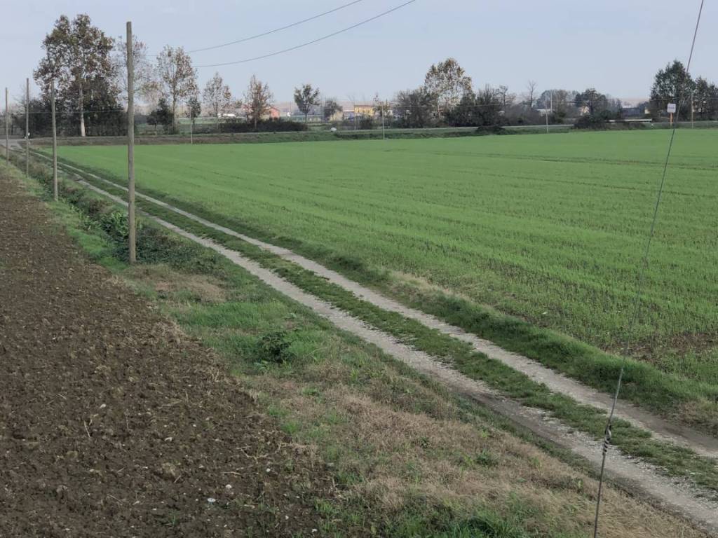 Terreno a Piacenza in Strada di Cortemaggiore, 21 - Foto 5