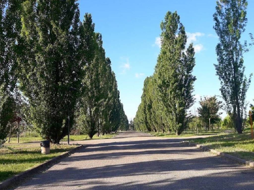 Terreno a Reggio emilia in Via Gorizia - Foto 2