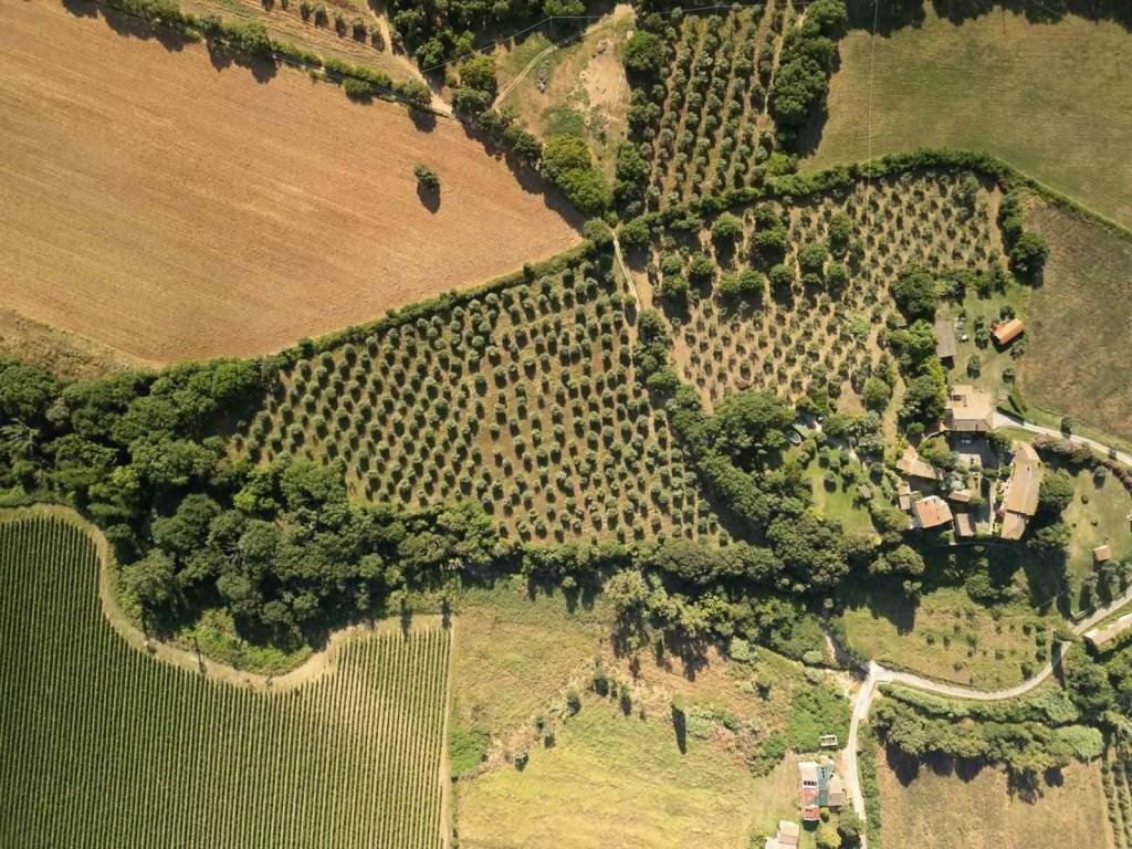 Rustico / casale a Roccastrada in Via di Lattaia - Foto 3