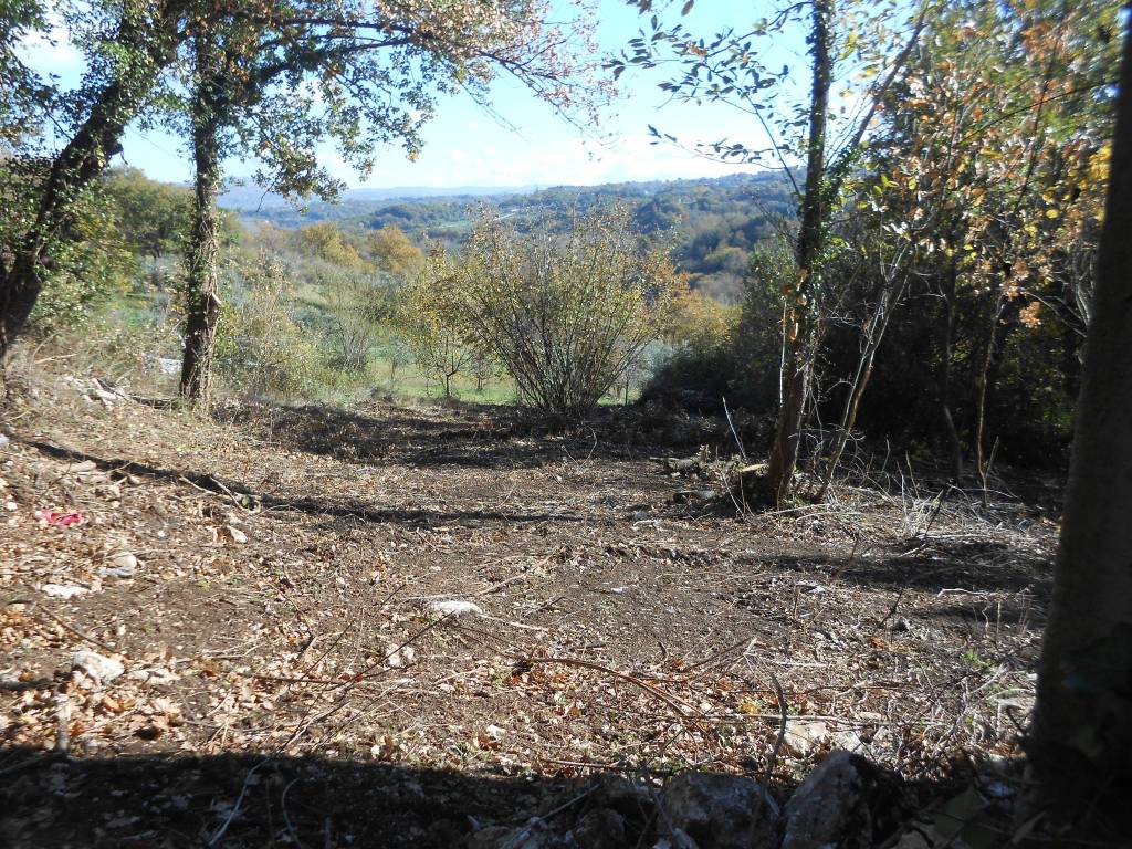 Rustico / casale a Montemiletto in Contrada Stazione - Foto 4