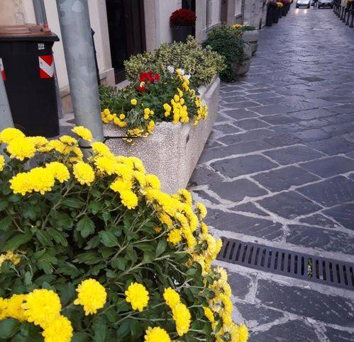 Immobile a Campobasso - Foto 2