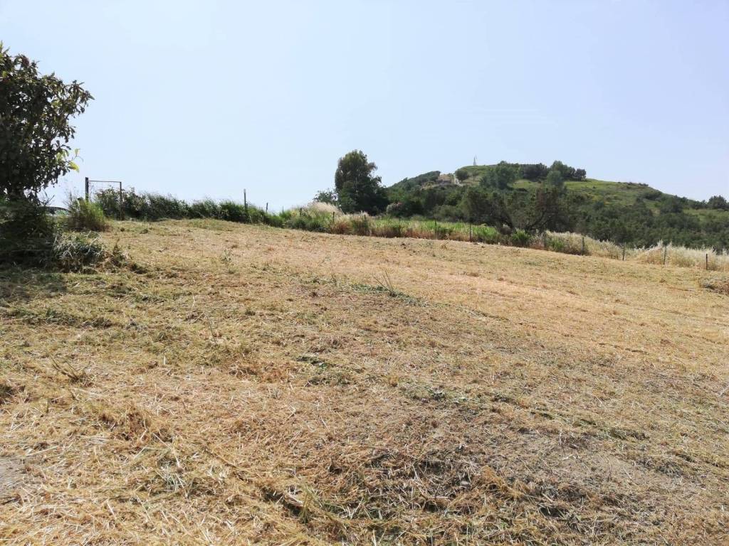 Terreno a Settingiano - Foto 4
