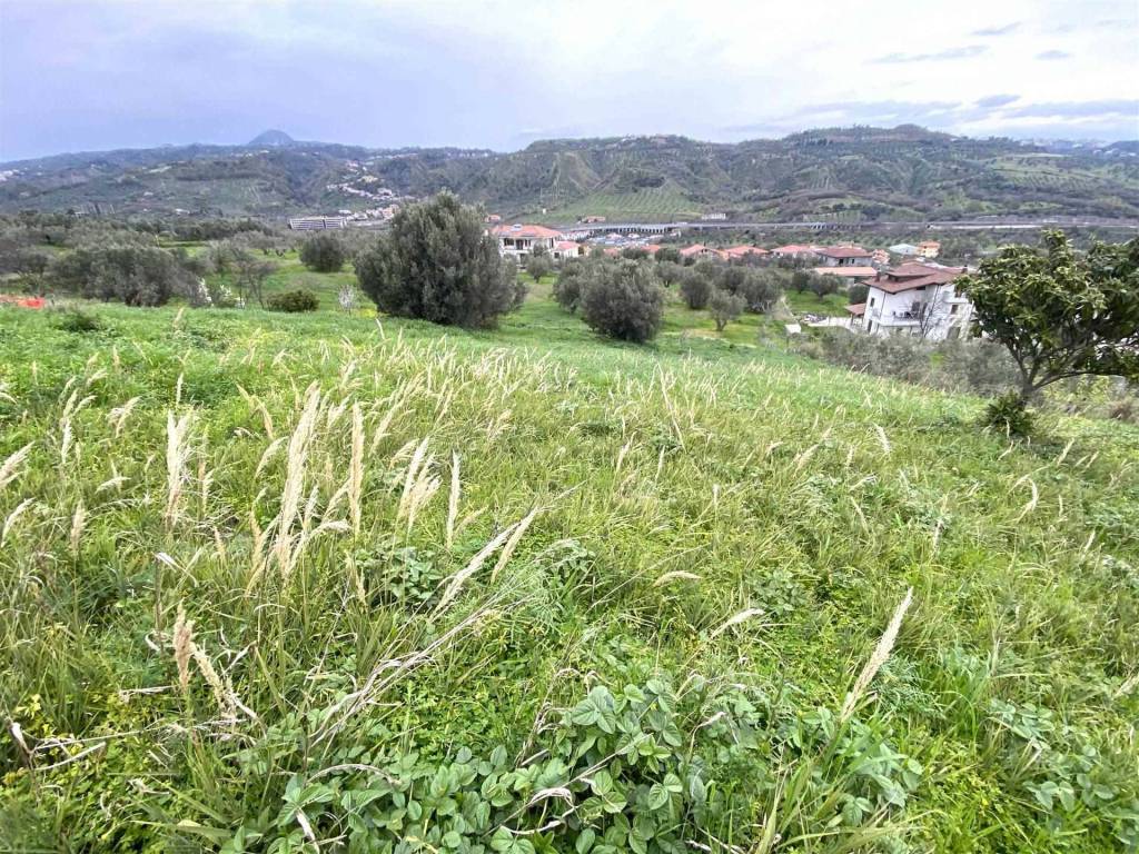 Terreno a Settingiano - Foto 5