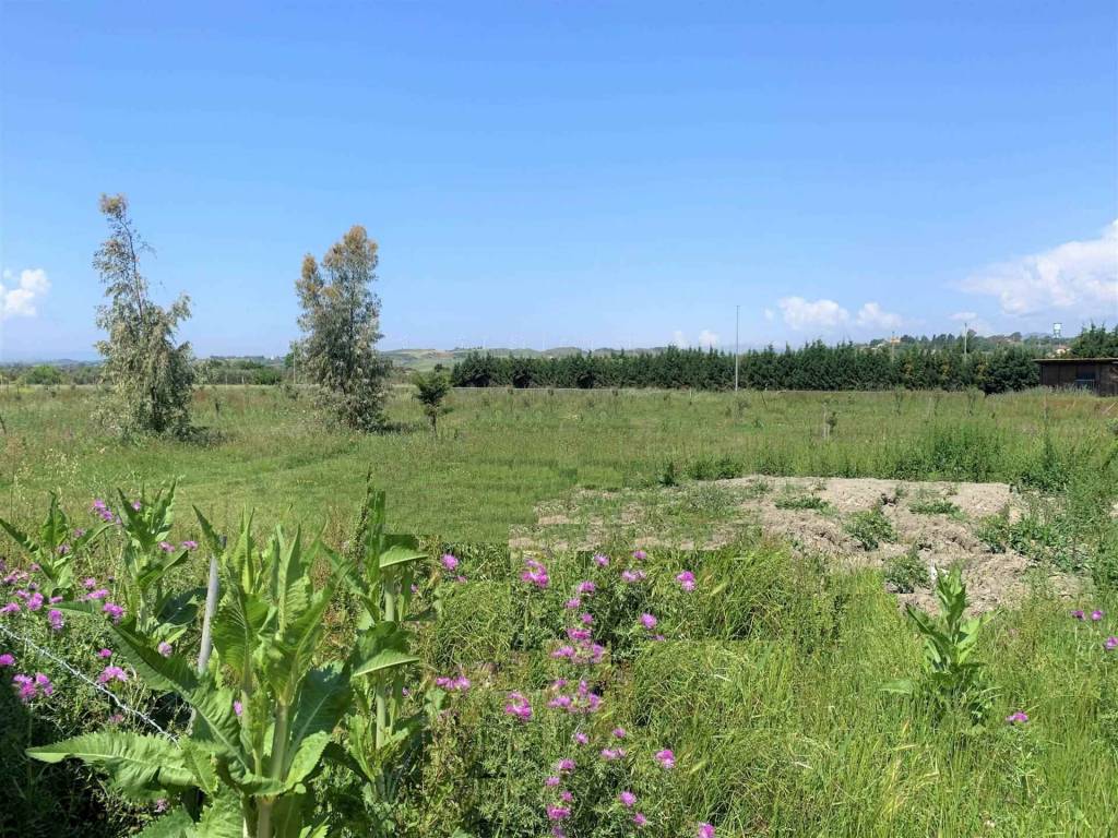 Terreno a Sellia marina - Foto 2