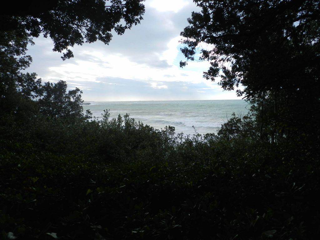 Appartamento a Rosignano marittimo - Foto 5