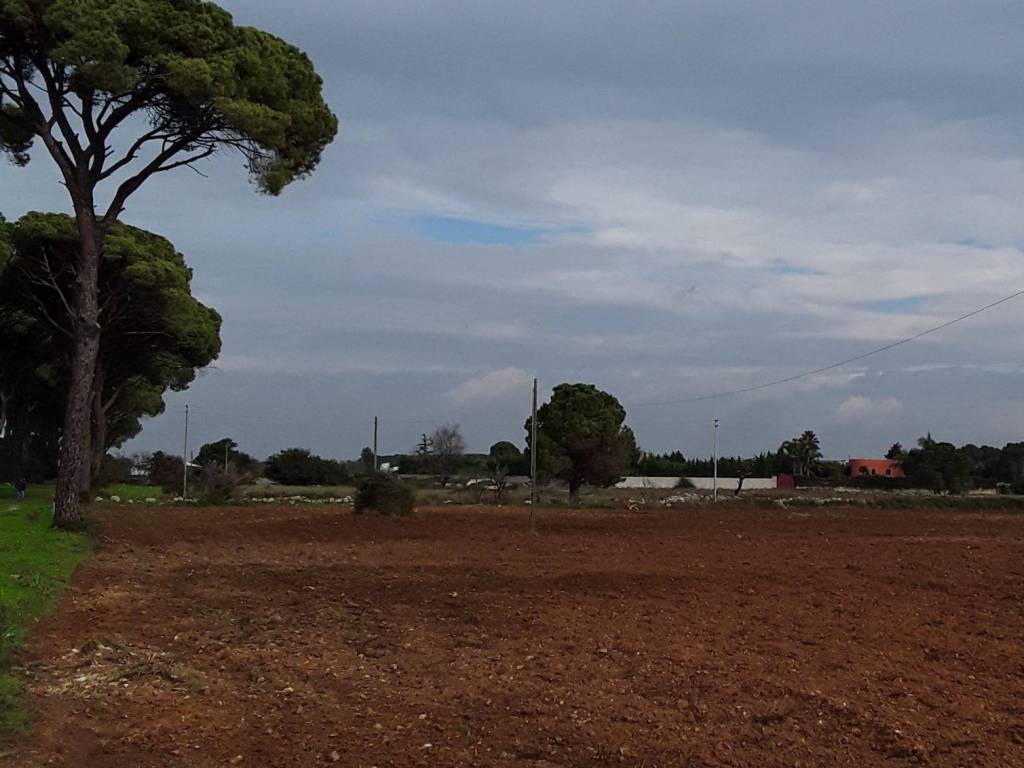 Terreno a Maglie in Via Comunale Esterno Fraganite - Foto 2