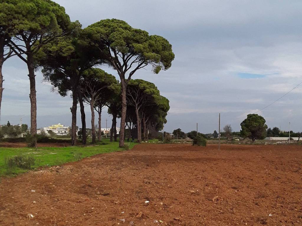 Terreno a Maglie in Via Comunale Esterno Fraganite - Foto 3