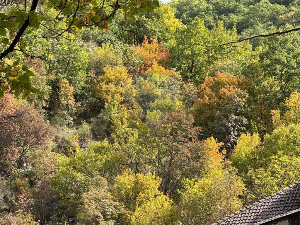 Appartamento a Scanno in Viale del lago, 111 - Foto 4