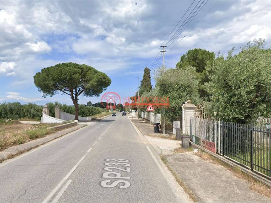 Villa a Trani in via Annibale Maria di Francia - Foto 4