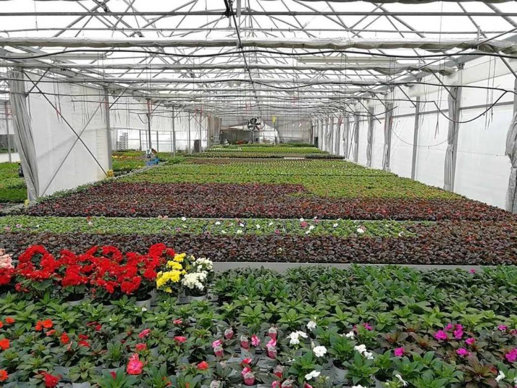 Terreno a Pontecagnano faiano in Via Ferdinando Magellano, 147 - Foto 2