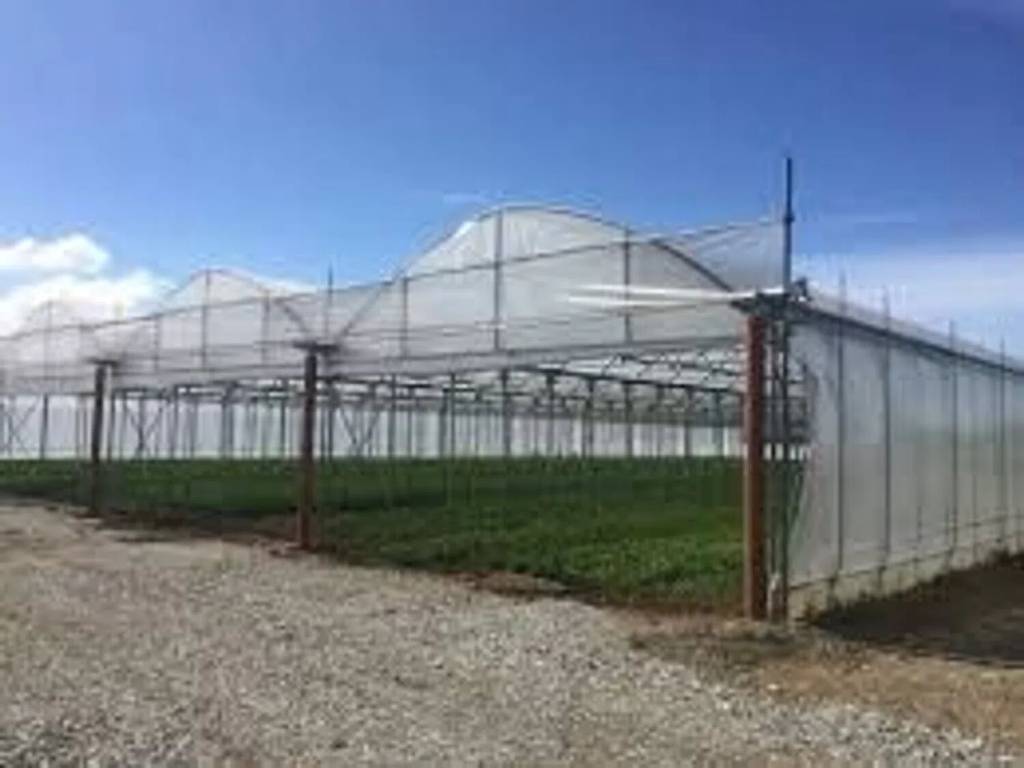 Terreno a Eboli in Santa Cecilia S.N.C. - Foto 3