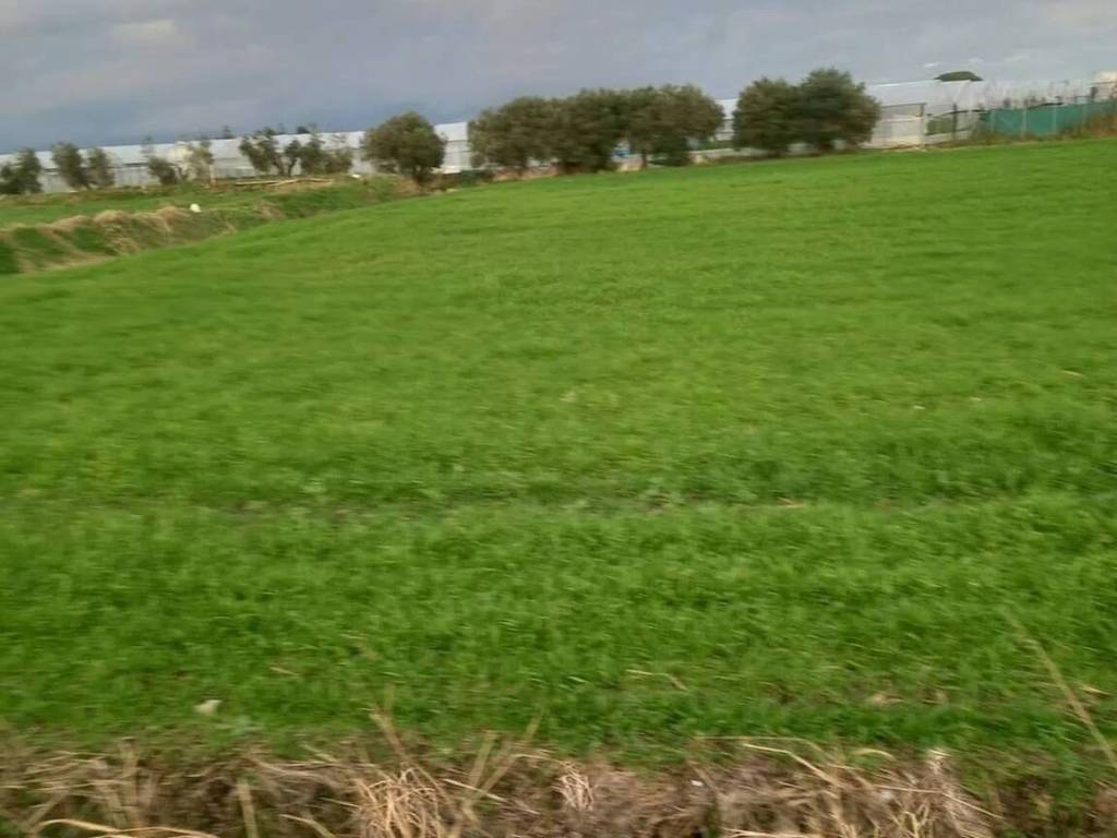 Terreno a Eboli in Via Campolongo, 115 - Foto 3