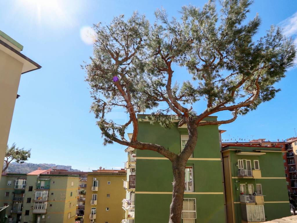 Appartamento a Napoli in Via Consalvo, 150 - Foto 5